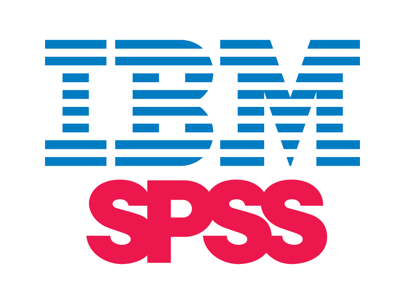 spss Data Tabulation and Analysis Services